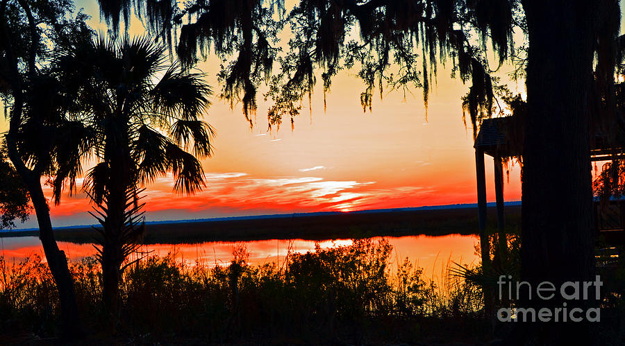 Southern sunset Photograph by Frank Larkin