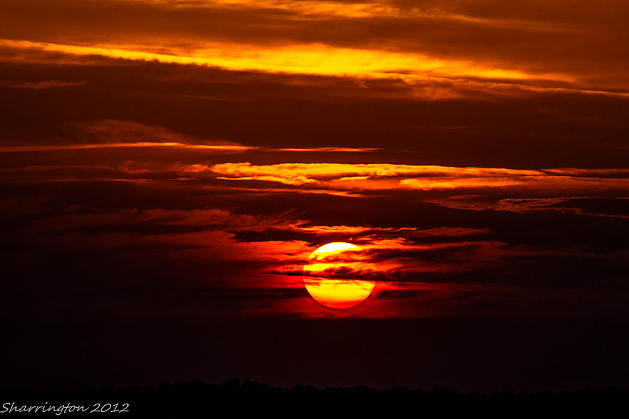 Southern Sunset Photograph by Shannon Harrington