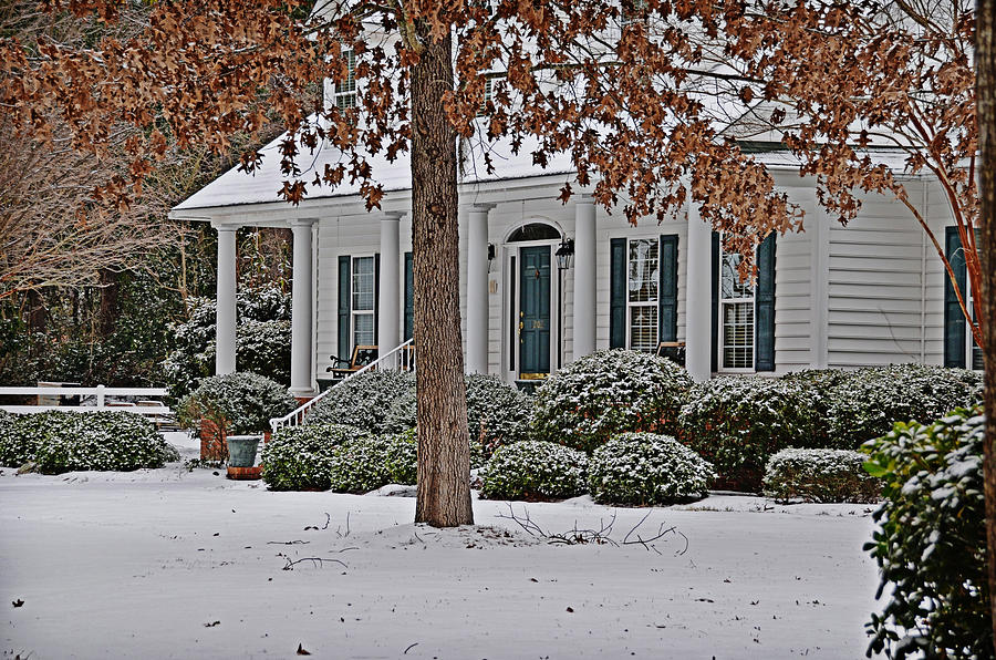 Southern Winter Photograph by Linda Brown