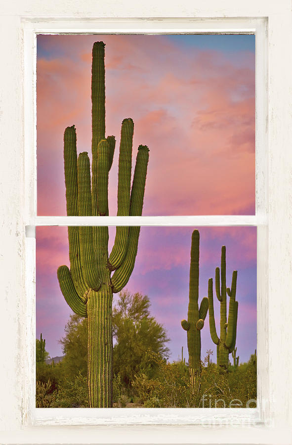Southwest Desert Colorful Distressed Window Art View Photograph
