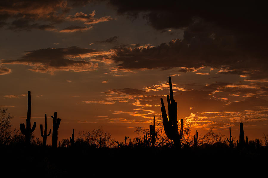 Southwest Desert Sunset Photograph by Tam Ryan