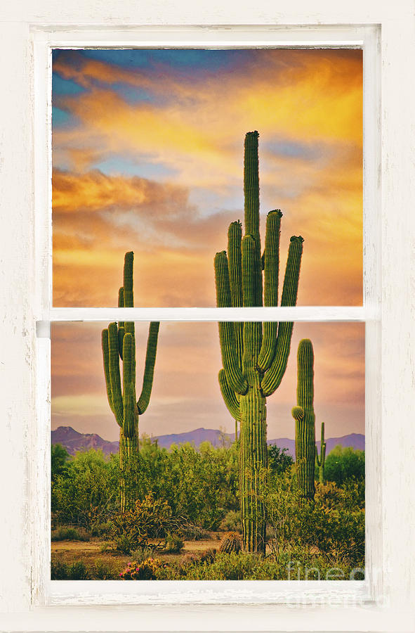 Southwest Desert Sunset White Rustic Distressed Window Art Photograph by James BO Insogna