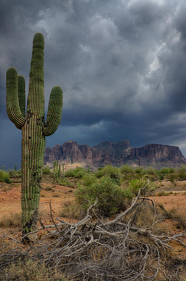 Desert Photograph - Southwest Monsoon Skies  by Saija Lehtonen