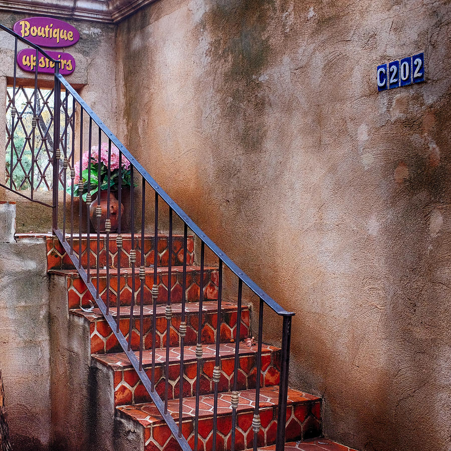Southwest Staircase Photograph by Ron White