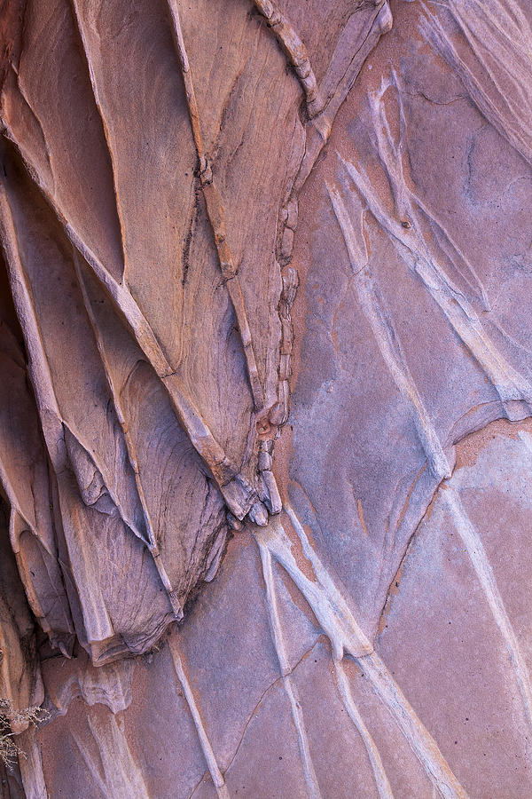 Southwest Stone Abstract 3  Photograph by Patrick Downey