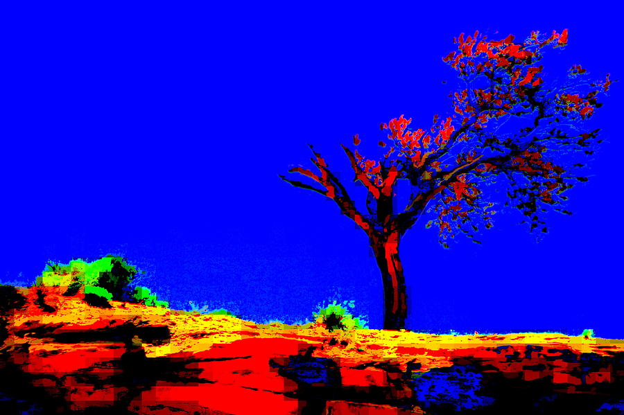 Southwestern Red Tree Photograph by Jodie Marie Anne Richardson Traugott          aka jm-ART