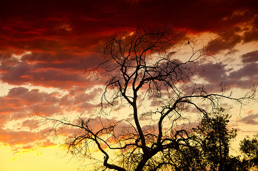 Sunset Photograph - Southwestern Skies  by Saija Lehtonen