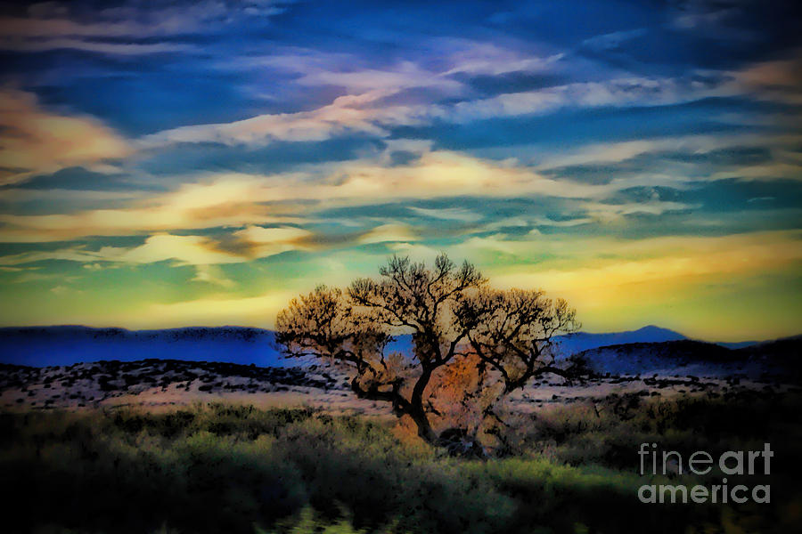 Southwestern Sunset Photograph by Elizabeth Winter