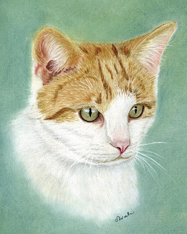 Cat Painting - Sox by Sarah Dowson