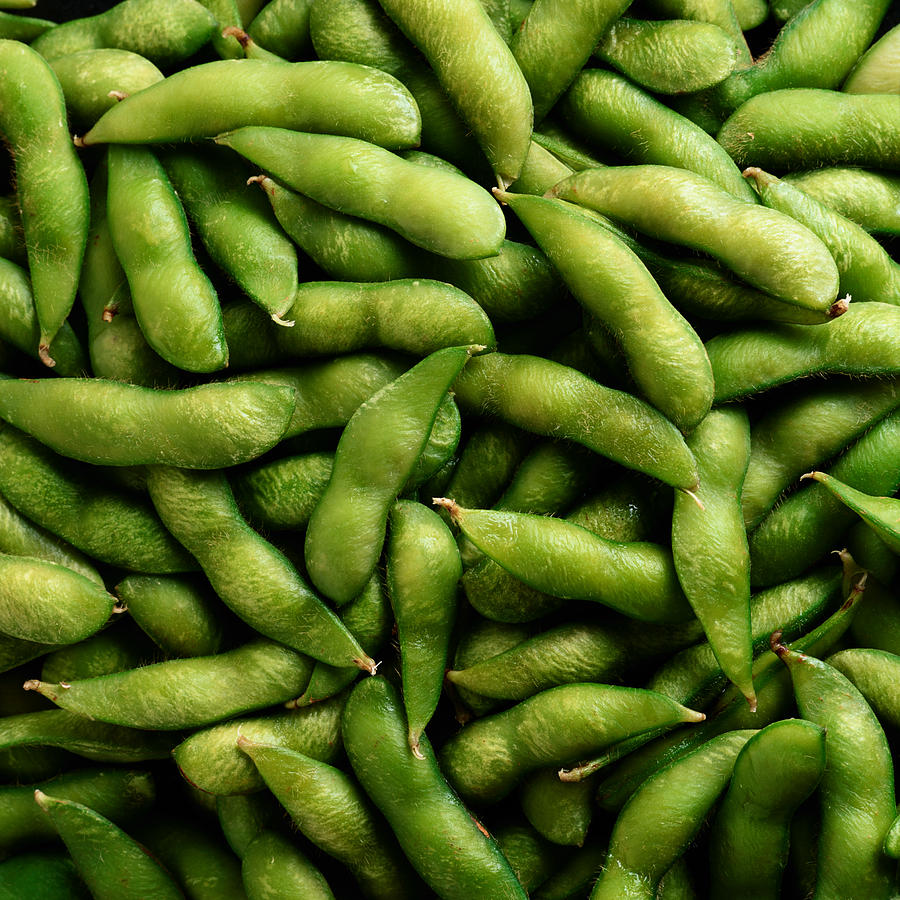 Soy Bean Background Photograph by C Squared Studios
