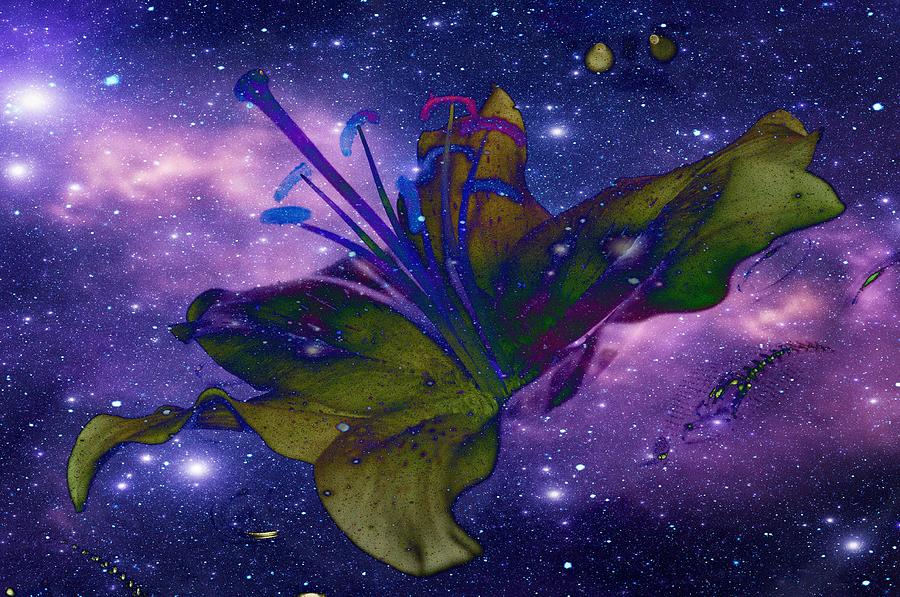 Portland Photograph - Space flower by Heather L Wright