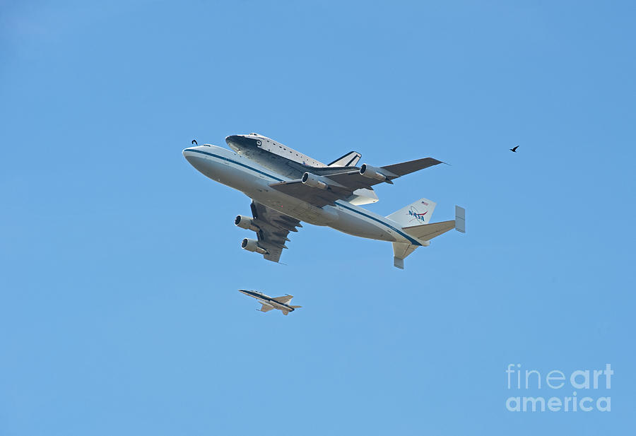 Space shuttle Endeavour Chase Plane and Hawk Photograph by David Zanzinger