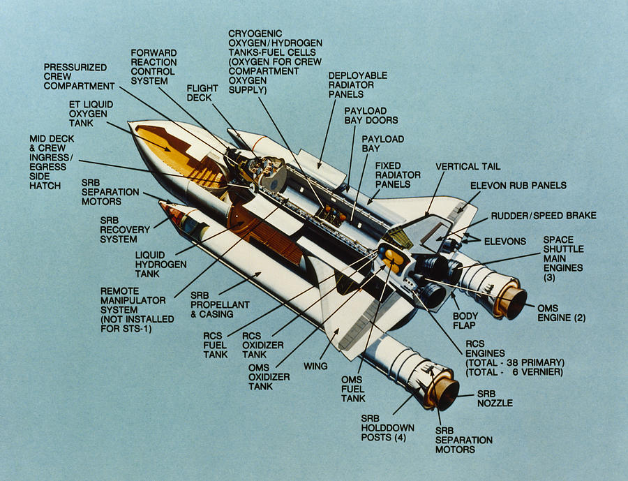 Space: Space Shuttle, 1981 Photograph By Granger - Pixels