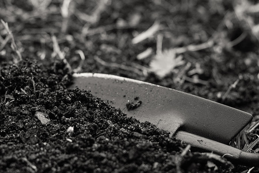 Spade in Topsoil Photograph by Eugene Campbell