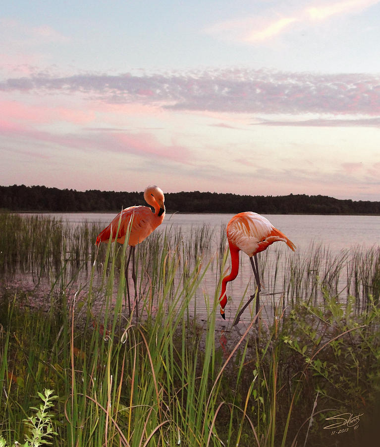 Spades Florida Flamingos Digital Art by M Spadecaller