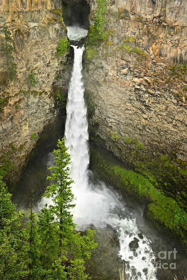 Nature Photograph - Spahats Falls waterfall in Wells Gray Provincial Park by Elena Elisseeva