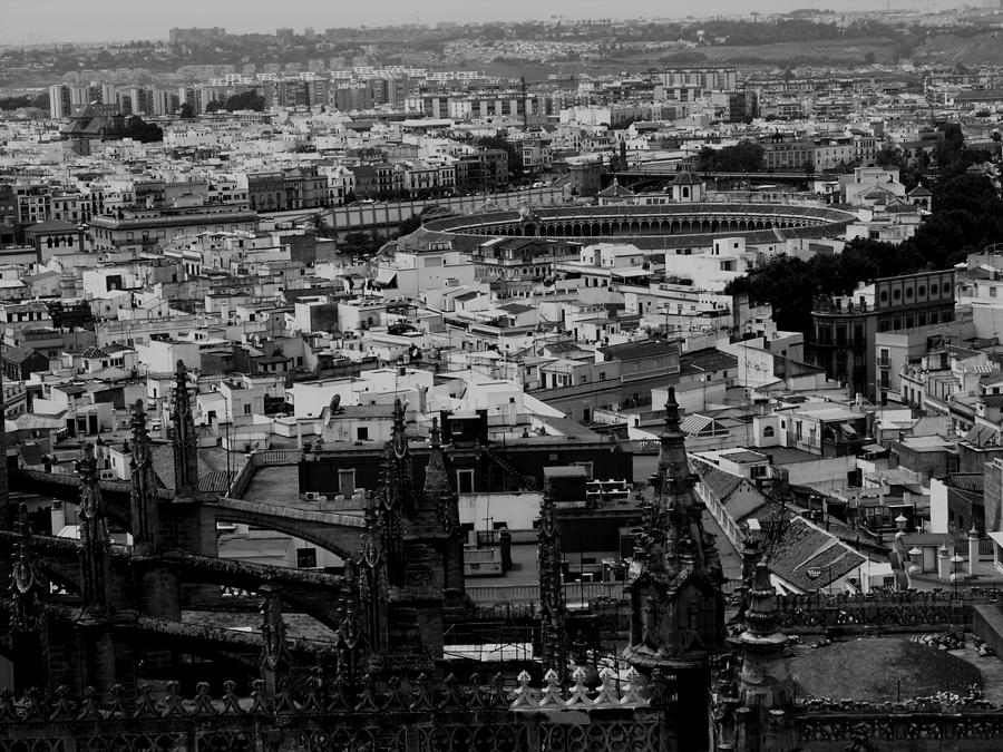 Spain - Sevilla - Aerial BlackWhite Photograph by Jacqueline M Lewis