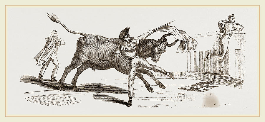 Spanish Bull-fight Drawing by Litz Collection