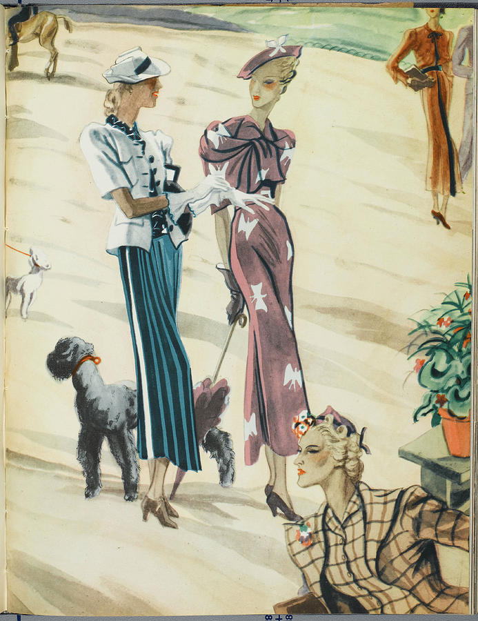 Spanish Dogwalkers Preamble Drawing by Mary Evans Picture Library