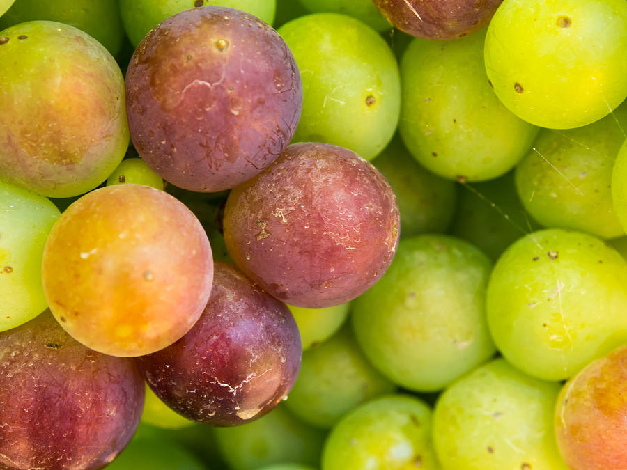 Wine Photograph - Spanish Grapes Macro by Kaleidoscopik Photography