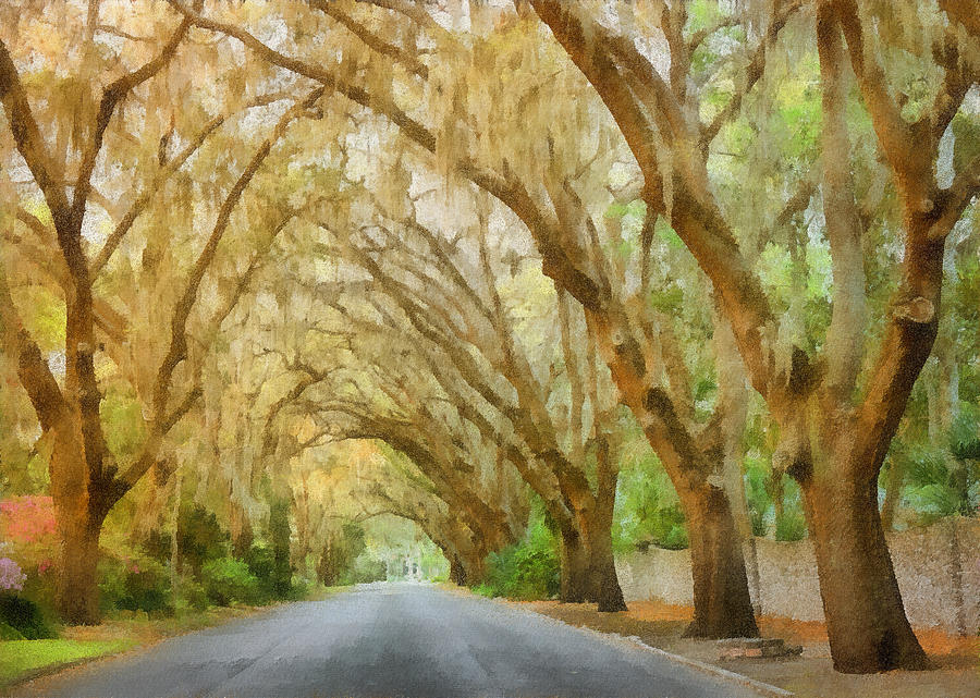 Spanish Painting - Spanish Moss - Symbol of the South by Alexandra Till Spanish Painting - Spanish Moss - Symbol of the South by Alexandra Till