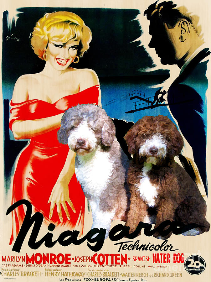 Spanish Water Dog - Perro de agua Espanol Art Canvas Print - Niagara Movie Poster Painting by Sandra Sij