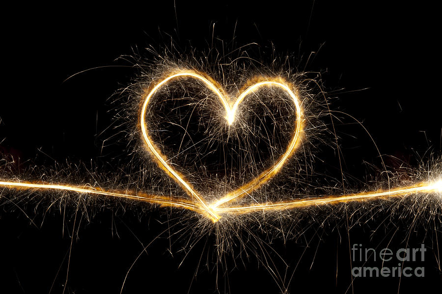 Spark of Love Photograph by Tim Gainey