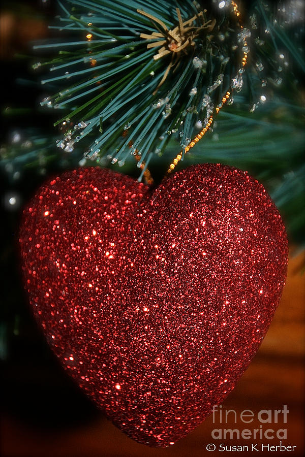 Sparkling Heart Photograph by Susan Herber