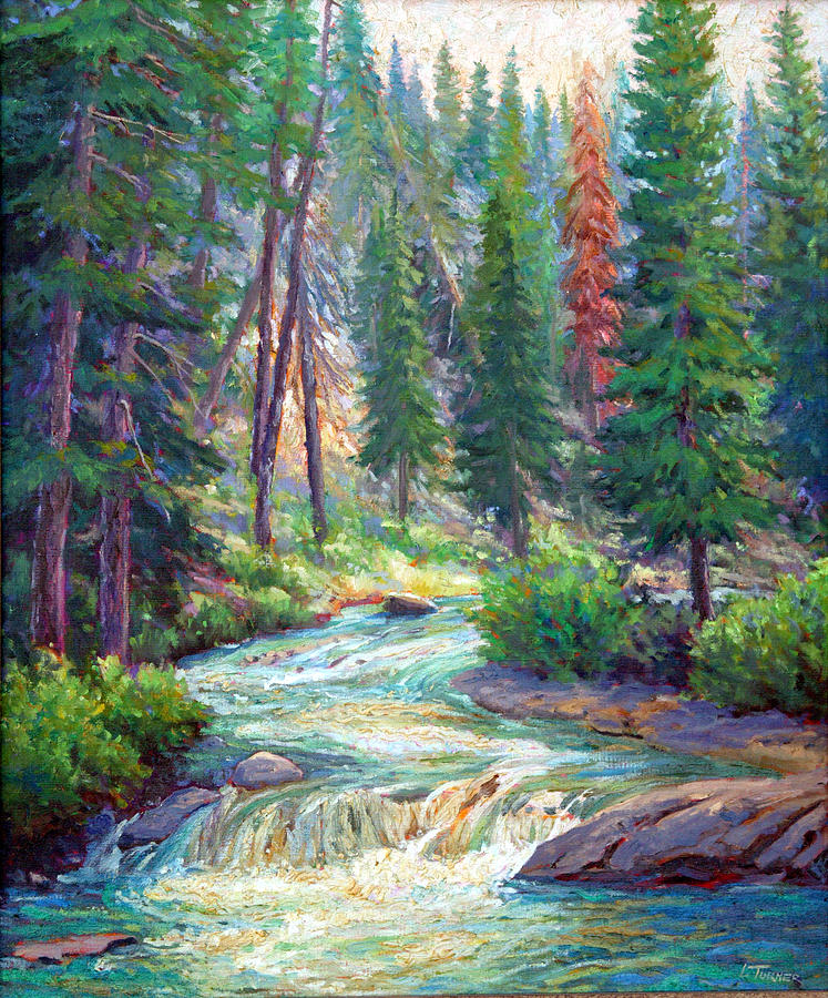 Sparkling Stream Painting by Douglas Turner