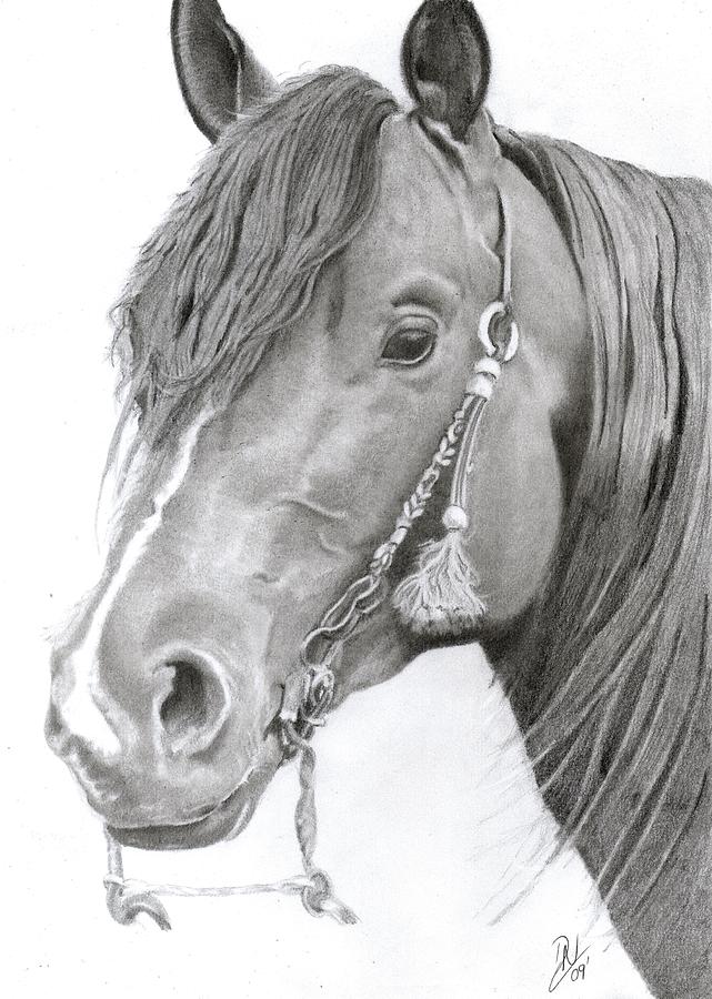 Sparks Drawing by Deborah Nicholas - Fine Art America