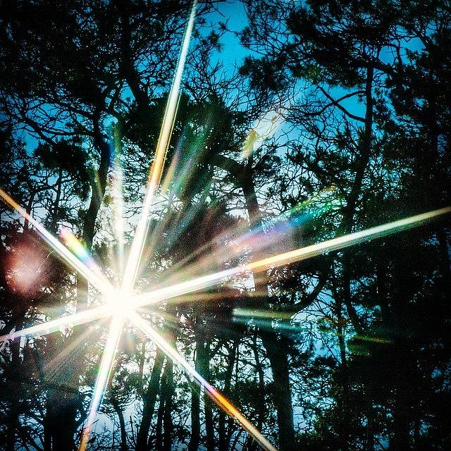 Cool Photograph - Sparks Fly by Aleck Cartwright