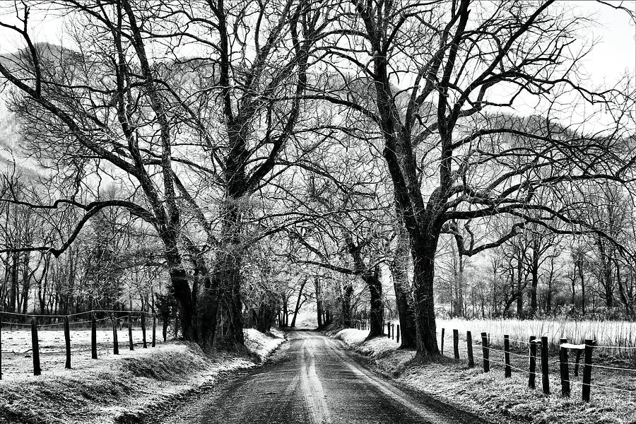Sparks Lane During Winter Photograph by Carol Montoya