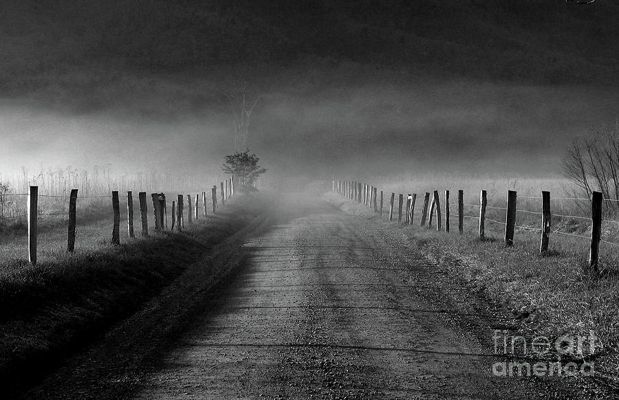 Sparks Lane in Black and White Photograph by Douglas Stucky