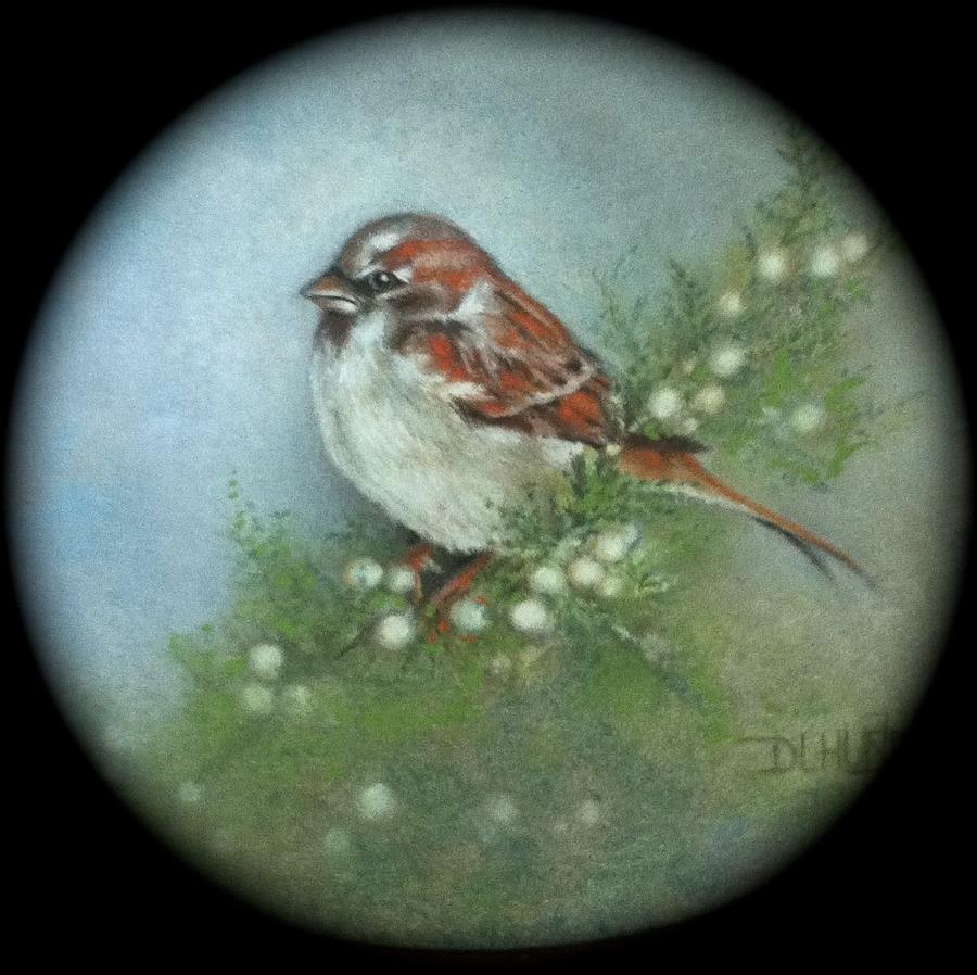 Sparrow Painting - Sparrow by Diana L Hund Sparrow Painting - Sparrow by Diana L Hund