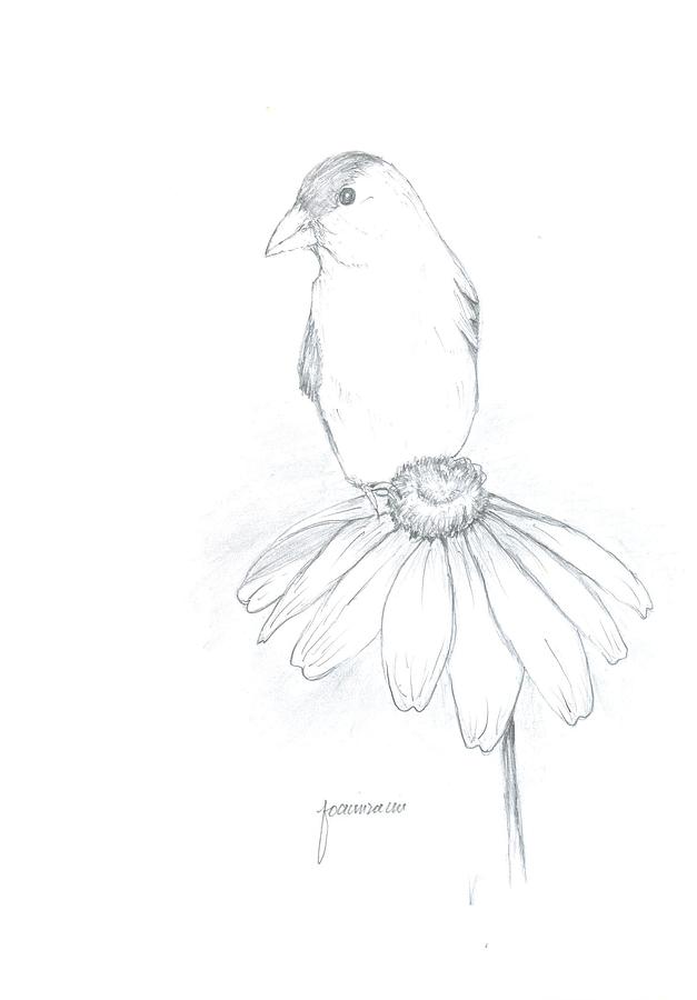 Sparrow Painting by Foqia Zafar