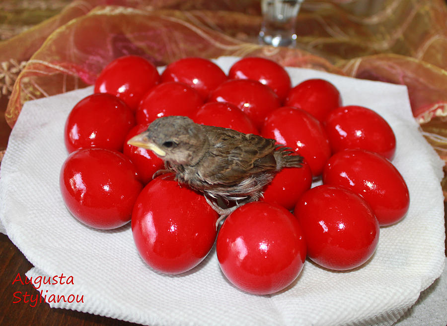 Sparrow on Red Eggs Photograph by Augusta Stylianou