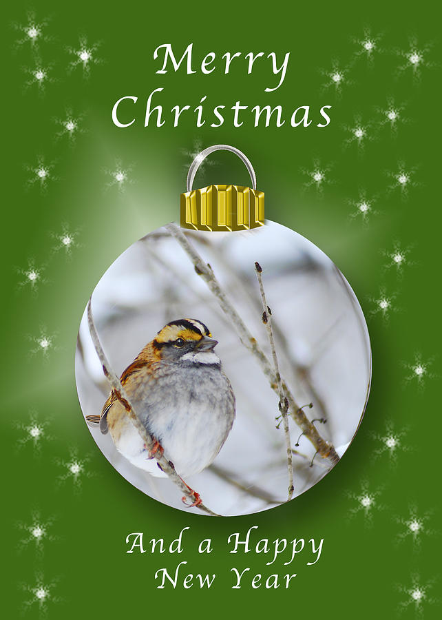 Sparrow Ornament Card Photograph by Michael Peychich