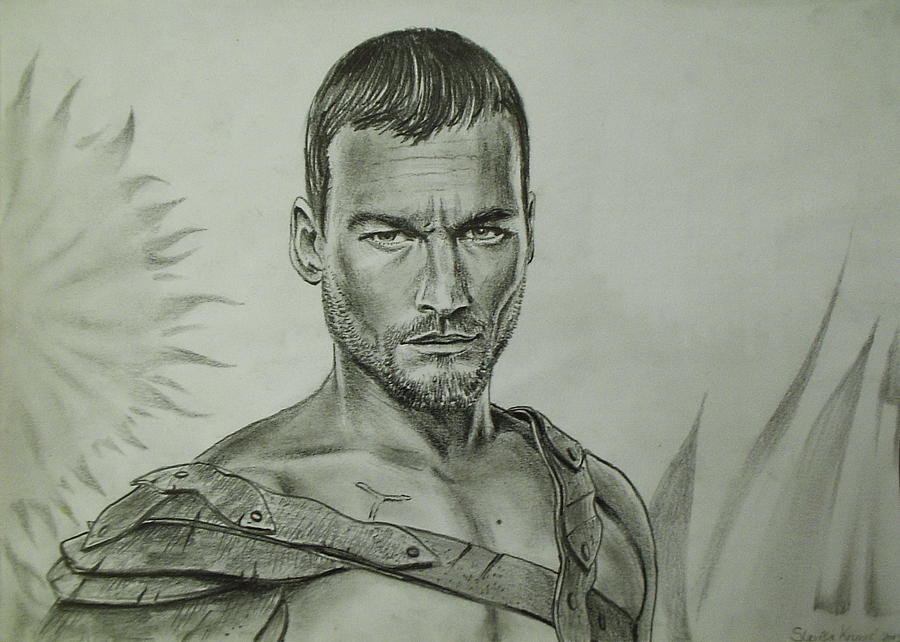 Spartacus Drawing by Slavisa Krunic