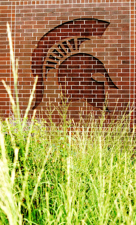 Michigan State University Photograph - Sparty on the Wall by John McGraw