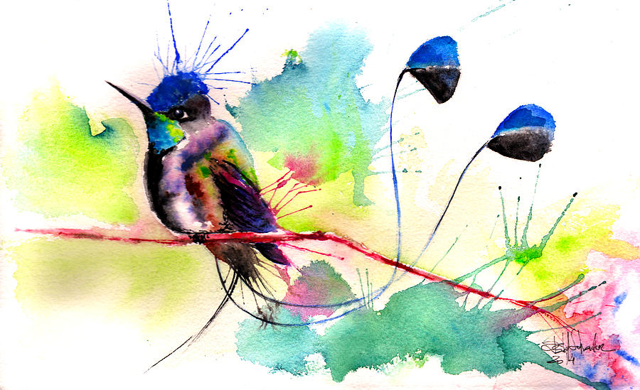Spatuletail Hummingbird Painting by Isabel Salvador