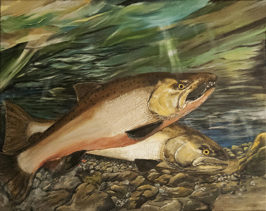 Spawning Painting - Spawning Salmon by Sara Stevenson