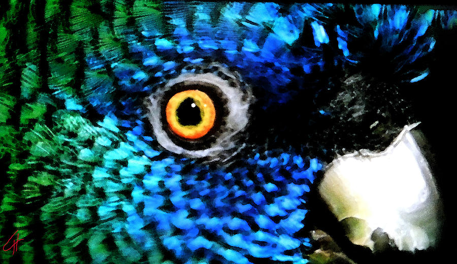 Bird Painting - Speaking Eye  by Colette V Hera Guggenheim