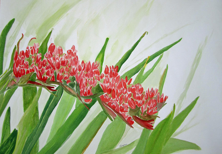 Spear Lily Painting by Elvira Ingram