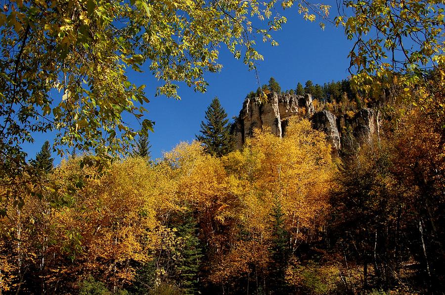 Spearfish Canyon in Autumn Color Photograph by Greni Graph