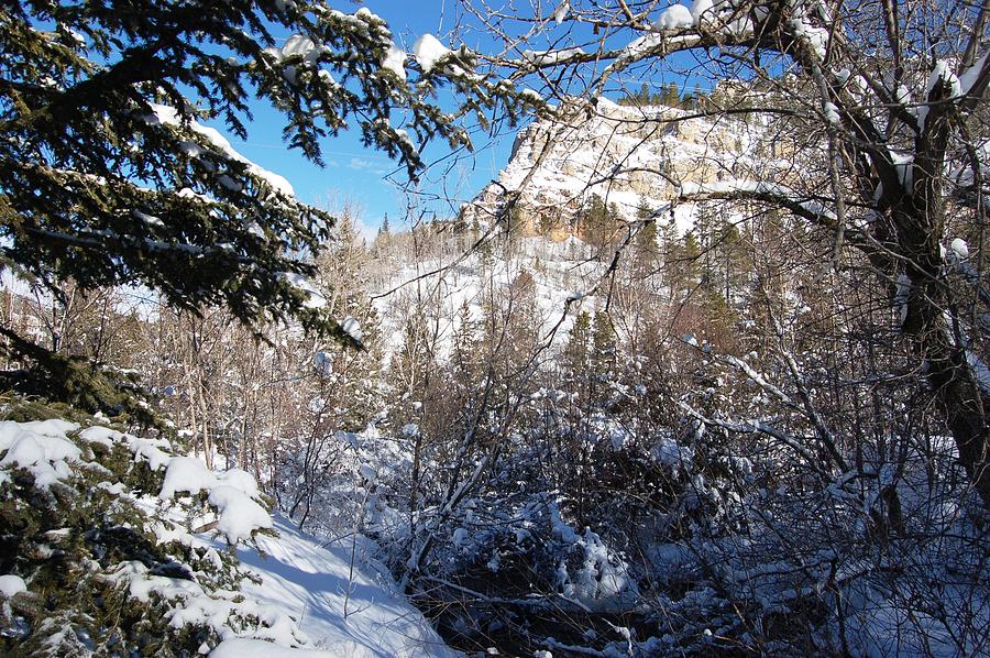 Spearfish Canyon in Snow Photograph by Greni Graph