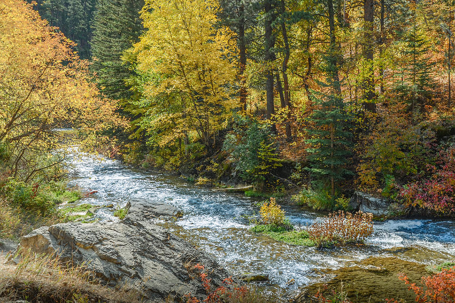 Spearfish Creek Autumn Photograph by Greni Graph