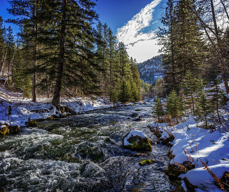 Spearfish Creek in Spearfish Canyon Photograph by BC Studio