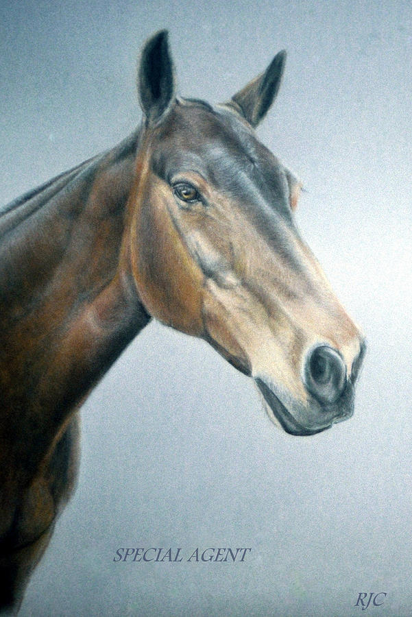 Horse Painting - Special Agent by Rosemary Colyer