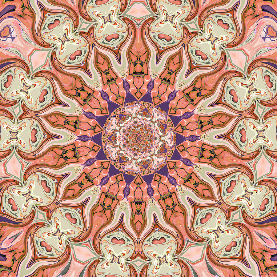 Special Seven Mandala Digital Art by Deborah Smith
