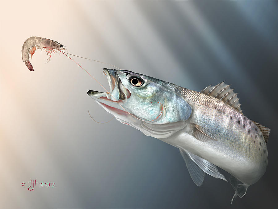 Shrimp Painting - Speck Snack by Hayden Hammond